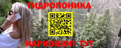 каннабис Кунгур