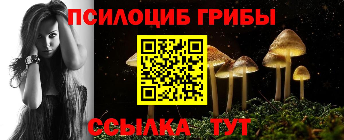 Кострома  Галлюциногенные грибы ЛСД  Вход с VPN  Галлюциногенные грибы Cubensis 